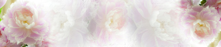 SP 045, 2800*600*6